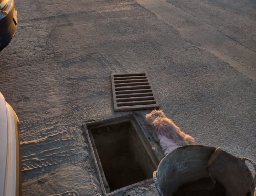 Vera acomete la limpieza de imbornales, alcantarillado y redes de pluviales con el objetivo de prevenir posibles incidencias por las danas